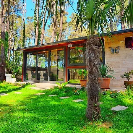 House & Yard Sesil Xs 60M To Beach Ureki Exterior photo