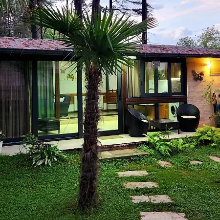 House & Yard Sesil Xs 60M To Beach Ureki Exterior photo