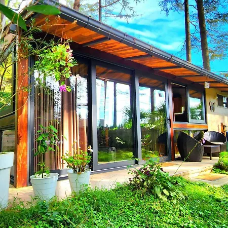 House & Yard Sesil Xs 60M To Beach Ureki Exterior photo