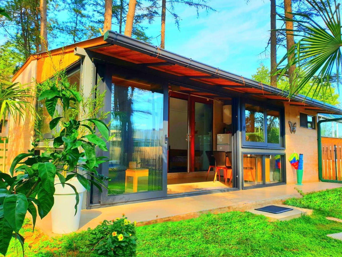 House & Yard Sesil Xs 60m To