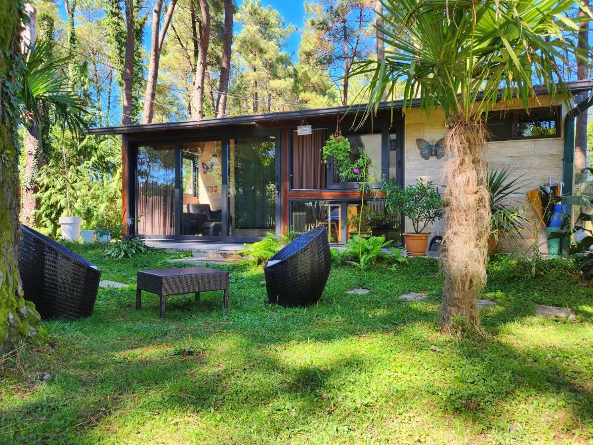 Дом отдыха House & Yard Sesil Xs 60m To